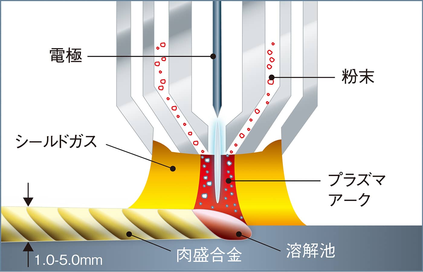 肉盛の図