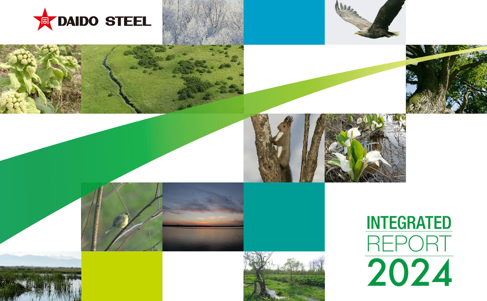 Sustainability Report